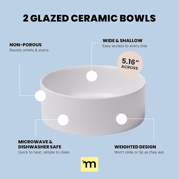 MALSIPREE ELEVATED DOG BOWLS – PUPPY ADOPTION GIFTS & CUTE PUPPY ACCESSORIES – 45° TILT FEEDING STATION WITH CERAMIC DISHES – FOOD AND BOWLS SET – DOG BIRTHDAY GIFTS FOR SMALL PETS – SAND BEIGE