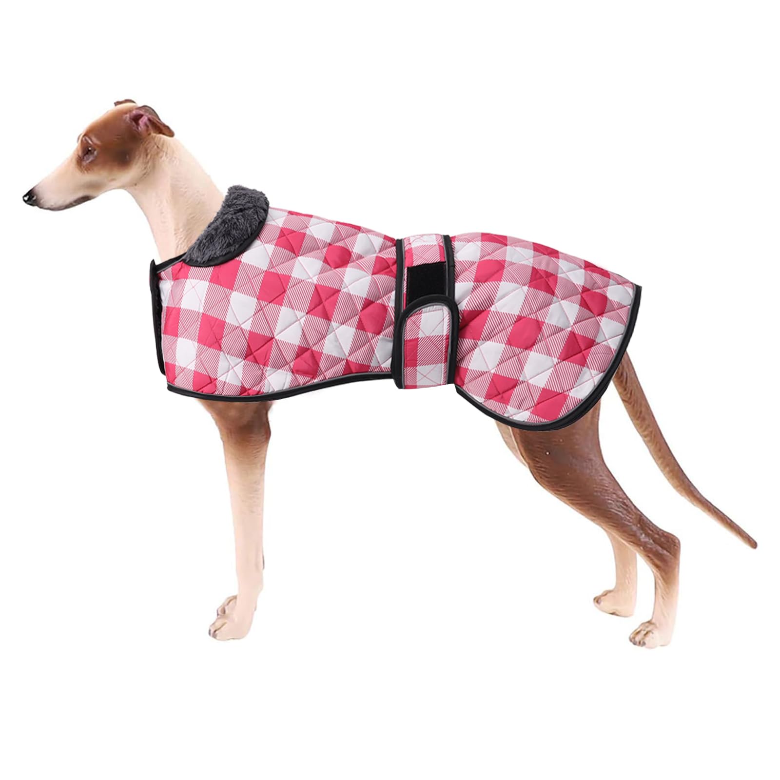 Geyecete Waterproof Greyhound Whippet Lurcher Coat - Warm Fleecy Lining Inside Outdoor Apparel With Adjustable Bands for Medium, Large Dogs - Pink - L
