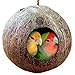 SunGrow Coconut Shell Bird House