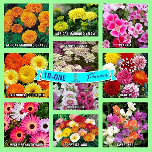 Gate Garden Collection of Sow 10 Flower Seeds Varieties