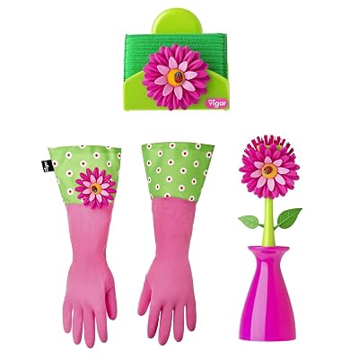 Holder and Latex Dishwashing Gloves 