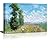 Meadow With Poplars by Claude Monet - Canvas Art