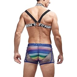 FIROTTII Mens Mesh Shorts Sexy Boxers See Through