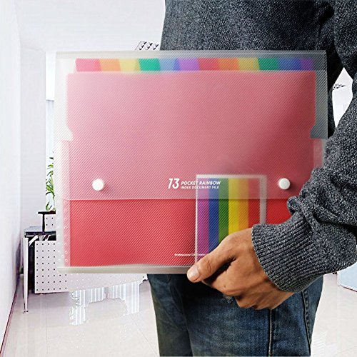 13 Pockets Portable File Folders, A4 Expanding Document Folder, Plastic Expandable Accordian Organizer