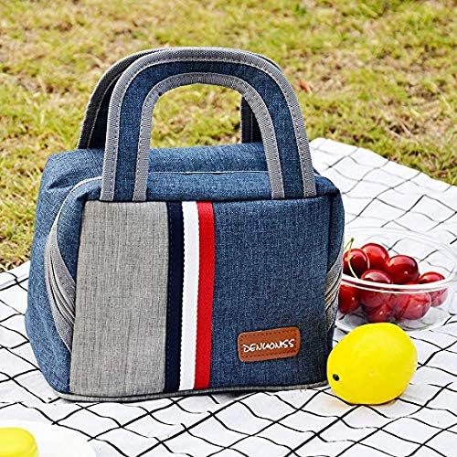 FHEAL Insulated Lunch Bag Convenient to Open at Right Angle Fashionable Lunch Box for Men/Women/Kids Large Capacity Warmer Lunch Tote Bag for Work/School/Picnic