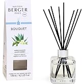 MAISON BERGER Cube Reed Diffuser, 125 ml, Agaves Garden | Prefilled Reed Bouquet, Lemon, Blue Agave, Amber Notes, Passive Diffusion, No Flame or Electricity
