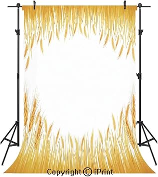Amazon Com Harvest Photography Backdrops Crop Rice Field Frame