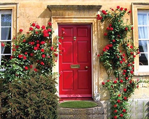 GOLDEN MOON Artificial Grass Doormat Grass Round Entrance Rug Welcome Grass Doormat