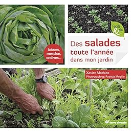 Des  salades toute l'année dans mon jardin