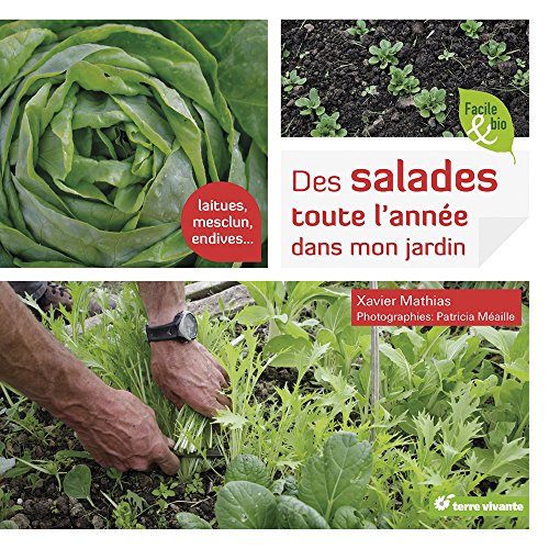 Des  salades toute l'année dans mon jardin