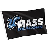 Desert Cactus UMass Boston 100% Polyester Indoor Outdoor 3x5 feet Banner (Flag D)