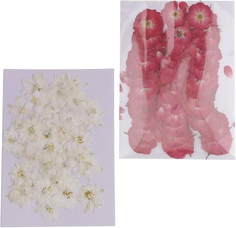 Amazon Co Jp Sharprepublic アート作品のための100個の美しい押されたバラの花ドライフラワー おもちゃ