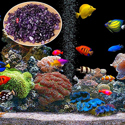 4 Kingyao+Amethyst+Tumbled+Crushed+Decoration