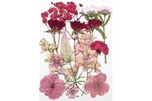 Arcjunys Dried Pressed Flowers for Crafts Dried Flowers for Crafts Dry Flowers Dried Flowers for Resin Dried Pressed Flowers 