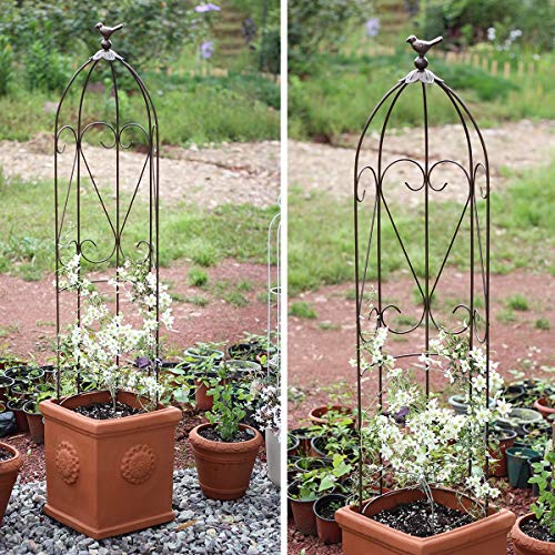CJSWT Garten Obelisken Metall Trellis Blumenunterstützung Für Klettern von Reben und Pflanzen,Rankhilfe, Rankgerüst… – Bild 3