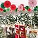 Hanging Party Decorations Set Tissue Paper Fan Paper Pom Poms Flowers and Honeycomb Ball for Christmas Wedding Engagement Graduation Party Decor Green Red Kit