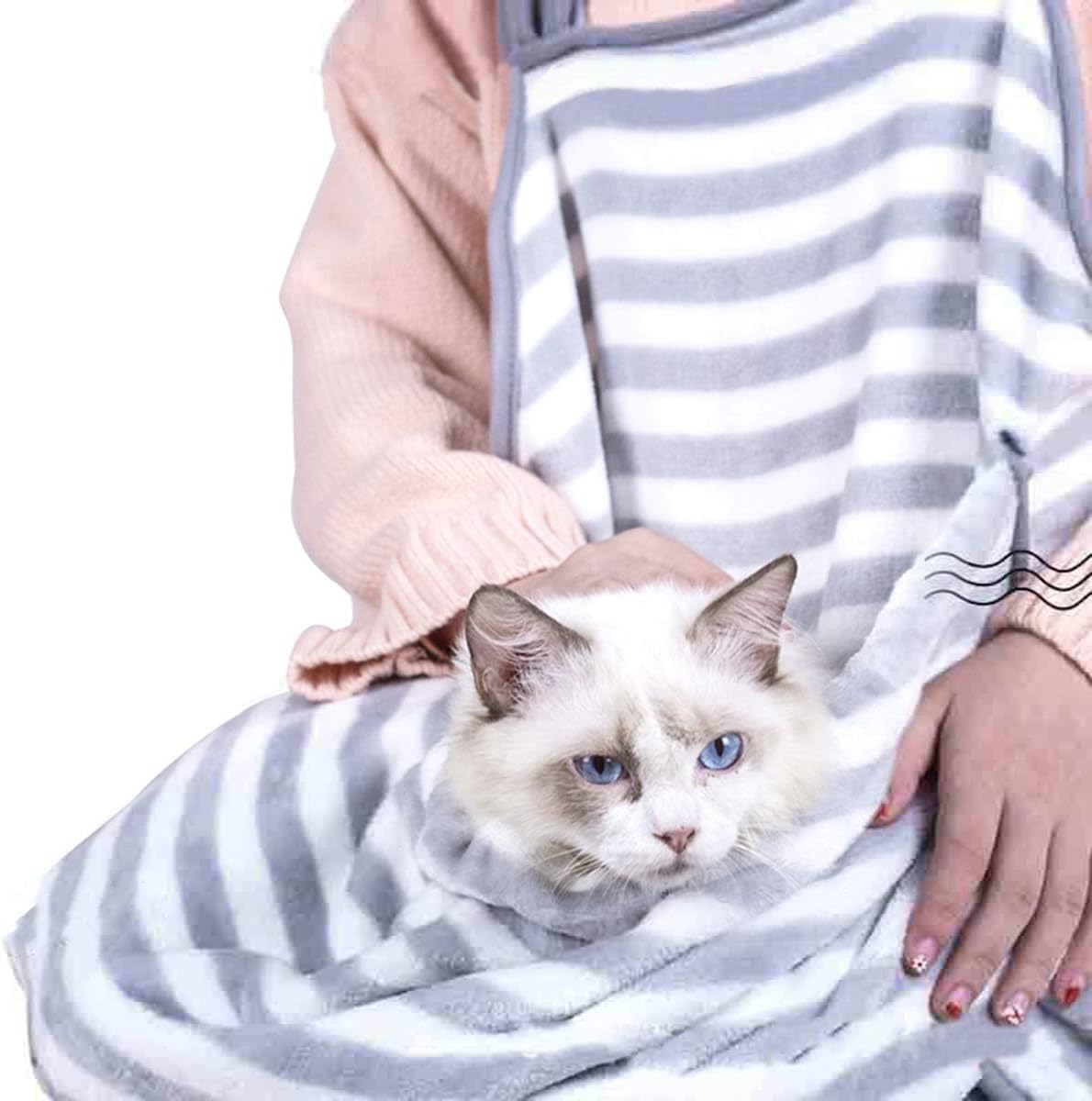 cat holding bag