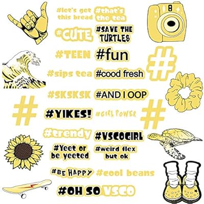 Amazon Com 30 Pieces Vsco Stickers For Hydro Flask Water Bottles
