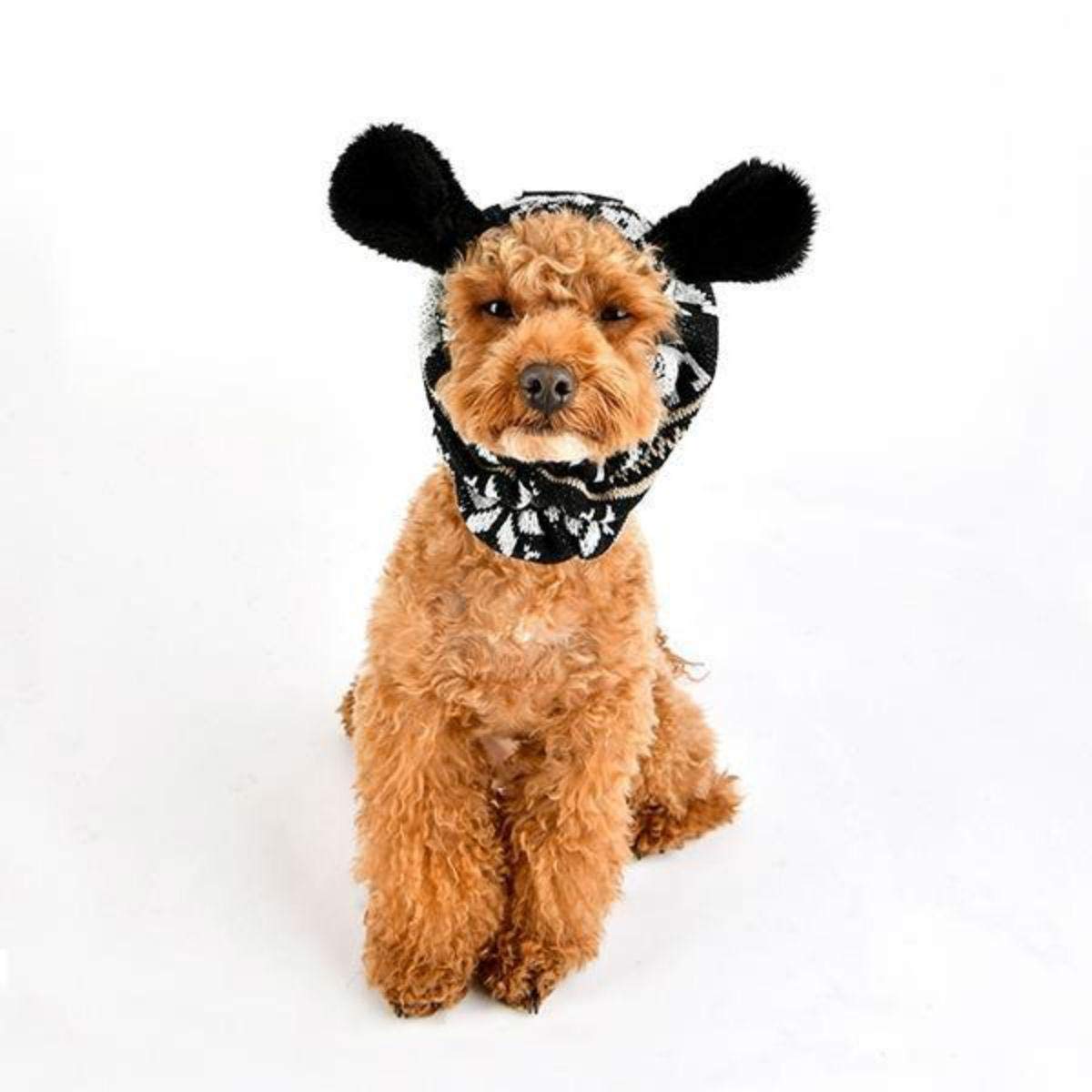 Puppia PASD-SN1655-BK-L Prancer Snood Winter Ear Guard for Dog, L, Black