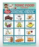 TLC Safety By Design Toxic Foods Poison for Pets Dogs Cats Emergency ICE Home Alone Refrigerator Magnet (Qty. 1)