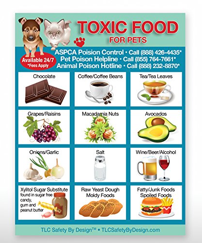 TLC Safety By Design Toxic Foods Poison for Pets Dogs Cats Emergency ICE Home Alone Refrigerator Magnet (Qty. 1)