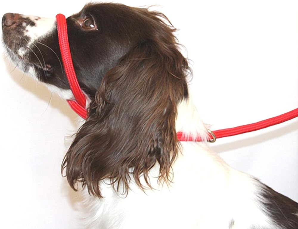 Dog & Field Anti Pull Lead Head Collar One Size Red 10mm Nylon Braided