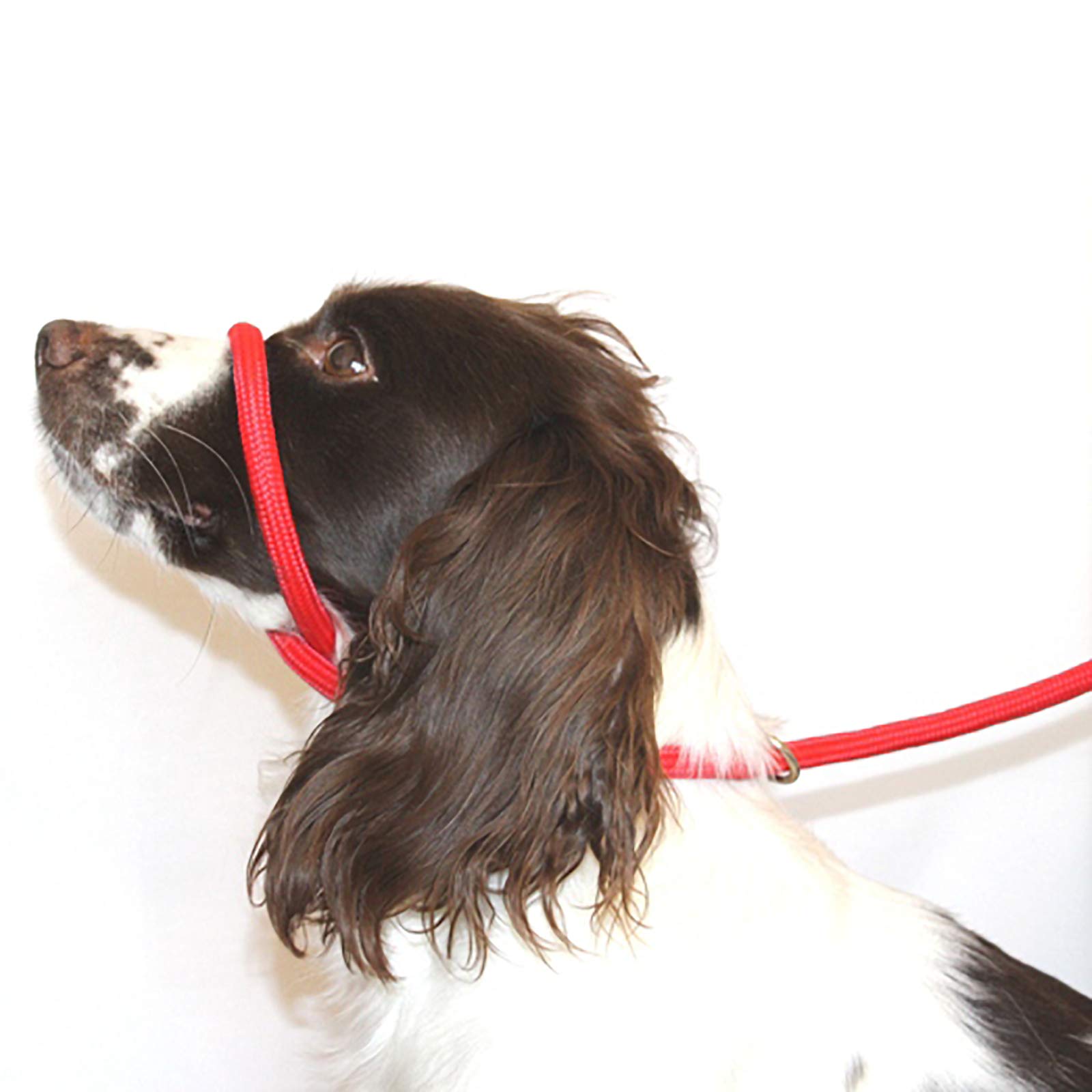 Dog & Field Figure 8 Anti Pull Lead/Halter/Head Collar - One Size Fits All - Soft Braided Nylon - Comfortable, Supple, Secure and Proven to Make Your Walks More Enjoyable - No More Pulling! (Red)