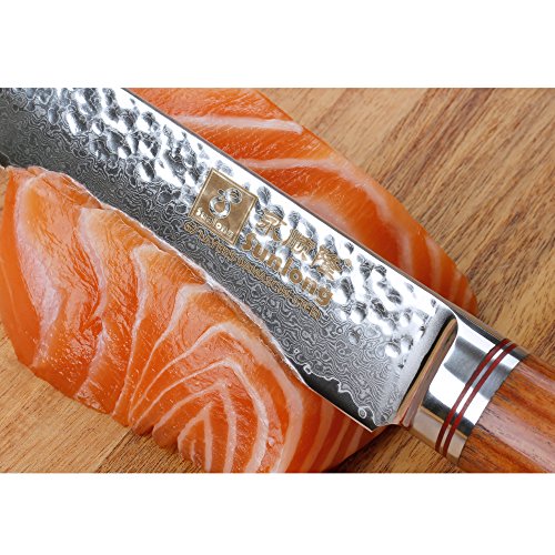 Sunlong 8 Inch Damascus Sashimi Sushi Knife,Best Quality Japanese VG10 Super Steel 67 Layer Damascus,Sharp Double-sided Blade, Environmentally Friendly RoseWood Handle SL-DK1046R