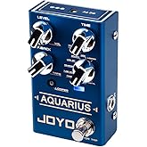 JOYO Digital Delay Effect Pedal with Looper (5 Minutes) R Series 8 Digital Delay Effects for Electric Guitar (Aquarius R-07)