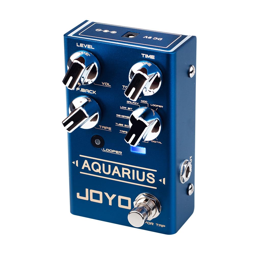 JOYO Digital Delay Effect Pedal with Looper (5 Minutes) R Series 8 Digital Delay Effects for Electric Guitar (Aquarius R-07)