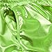 Perfashion Neon Shorts for Women Shiny Booty Shorts Neon Green Shorts S