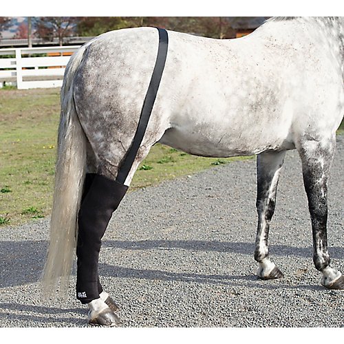 Horse Eqine Full Hind Leg Wraps- Pair with Suspender Belt and 16 Cold Inserts