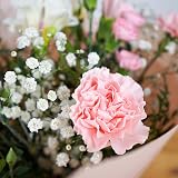 All Occasions Luscious Pinks Bouquet Carnations Freesias Hand Tied Fresh Flowers view 6