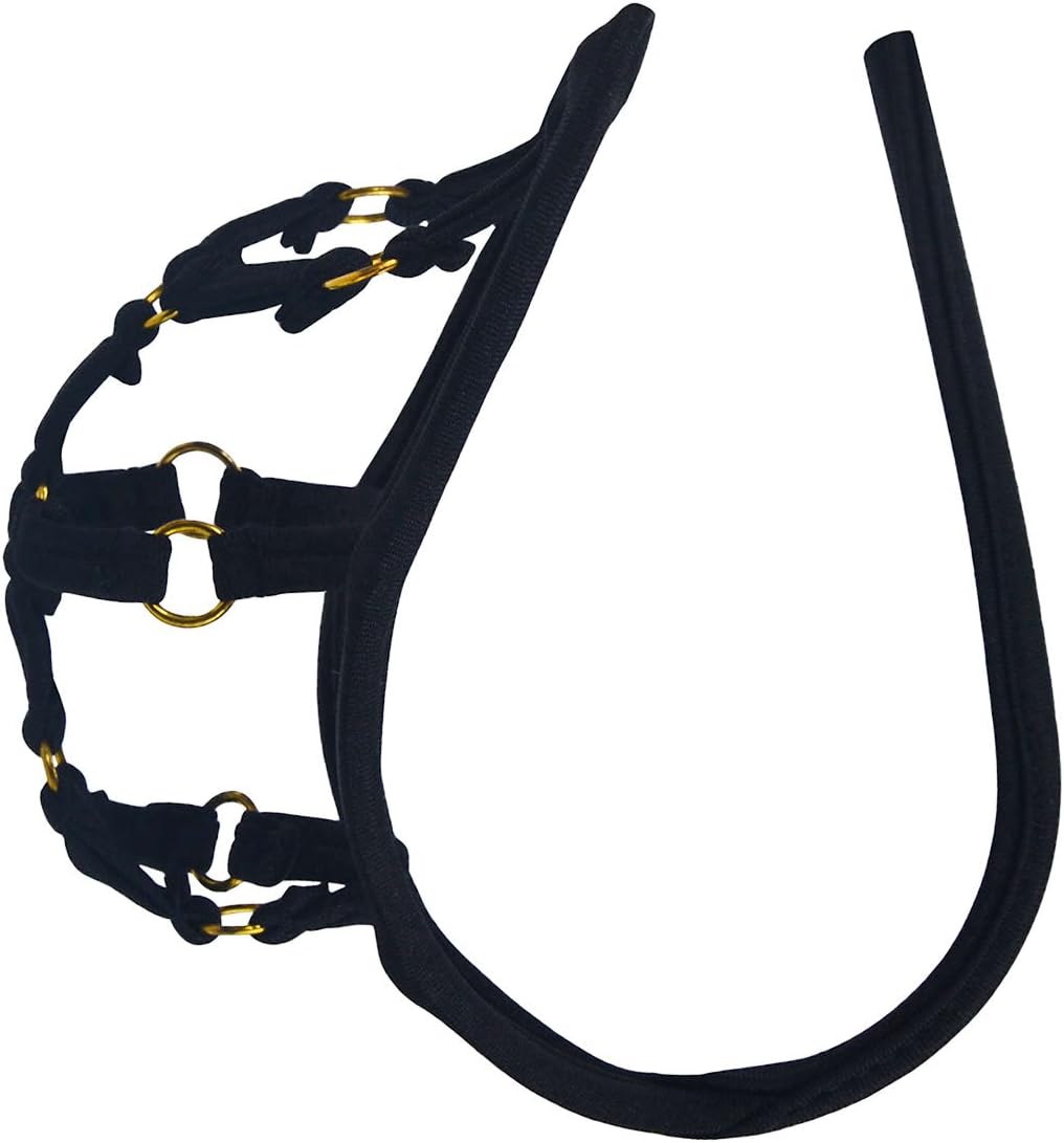 YASIDI Men's Sexy C-string Lingerie Underwear C108 (Black)