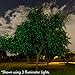 Sparkle Magic Green Laser Light 3.0 Series, Landscape Laser Lights, Christmas Laser Lights by Manufacturer