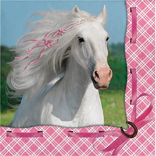 Heart My Horse Party Supplies Pack Serves 16: Dinner Plates, Luncheon Napkins, Cups, Table Cover and Birthday Candles