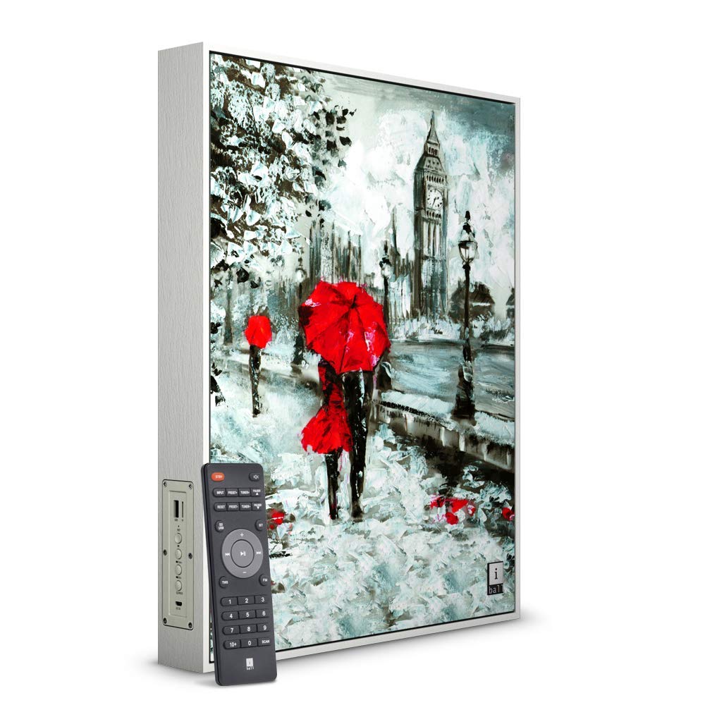 i ball frame speaker