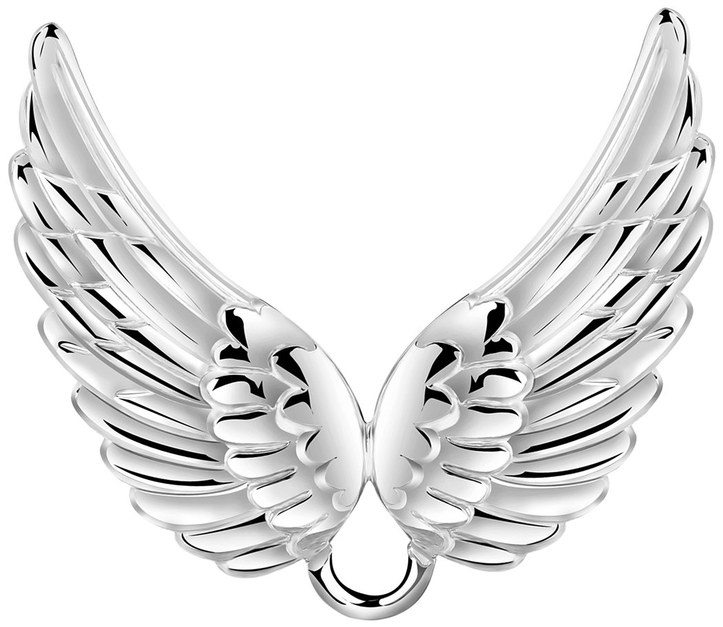 Nenalina Charm Carrier for Women Necklace, with Angel Wings, fits all brands Charm, 925 Sterling Silver - 876044-000