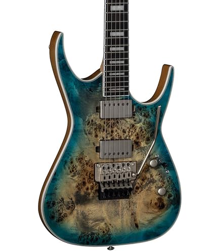 Amazon.com: Dean Guitars 6 String ZX Floyd Electric Guitar, Black