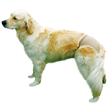 Pads for Protective Pants, 10pcs (M)