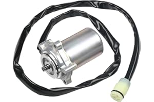 WATERWICH Shift Control Motor Compatible with Honda Rancher Trx350 TRX350TE TRX350FE 2000 2001 2002 2003 2004 2005 2006 Replacement for 31300-HN5-A11 430-58002