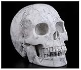 Skullis 5.0" Howlite Crystal Skull, Hand Carved