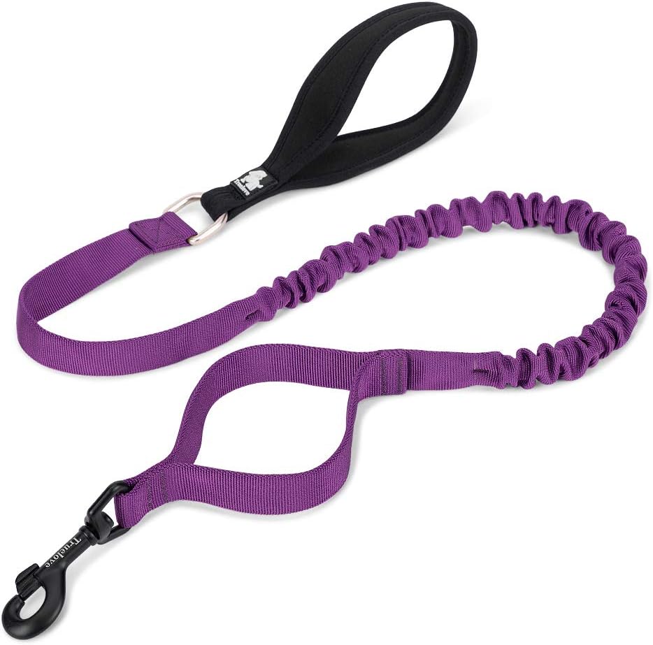 Chai's Choice Best Bungee Dog Leash (Small, Purple) Pet