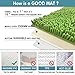 MAYSHINE Plush Shaggy Chenille Bath Mat | Extra Soft, Super Absorbent, Non-Slip Bathroom Rug | Fluffy Microfiber, Area Rug Sets for Bathroom Floor, Kitchen, Living Room | 32