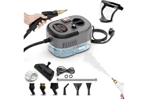 Aless 2500W Handheld High-Temperature Pressurized Steam Cleaner, Portable Multi-Surface Steamer with Adjustable Steam Levels 
