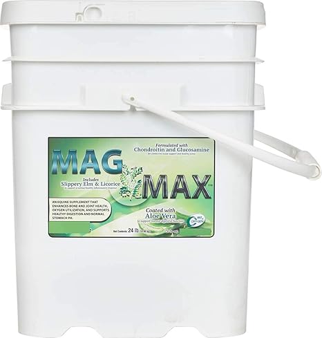 Amazon Com Oxy Gen Equine Mag Max 24lb Pet Supplies