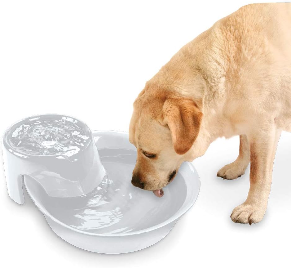 pioneer pet ceramic fountain