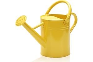 Ausluru Metal Watering Can with Removable Spout, Galvanized Watering Can, Perfect Plant Watering Can for Indoor Use and for Outdoor Use (1 Gallaon, Yellow)