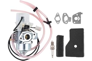 Dylawnio EU2000I Carburetor Rebuild Kit for Honda EU2000i EB2000i EB2000I EU2000I EB2000IT1 EU2000IK1 EU2000IK1 Portable Generator Parts Replace 16100-Z0D-D03 16100-Z0D-D01 17211-Z07-000 Air Filter