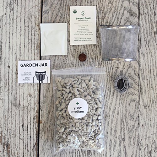 Modern Sprout MS-GS-1004 Indoor Cilantro Herb Kit (7 Items)